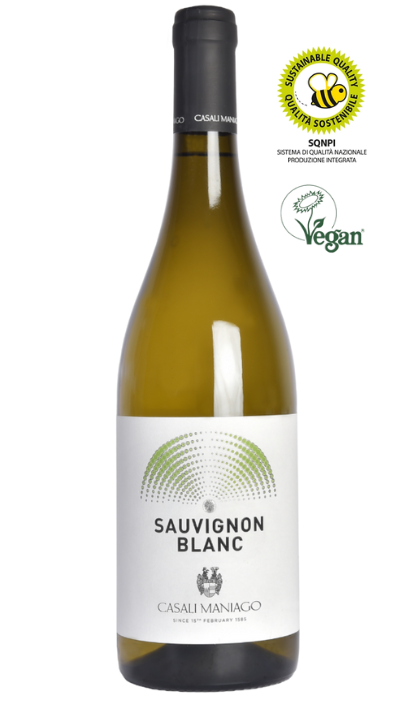 SAUVIGNON BLANC DOC, 2023