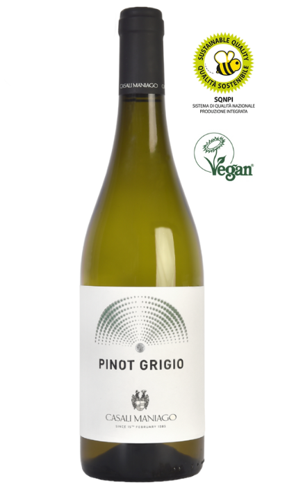 PINOT GRIGIO DOC, 2023