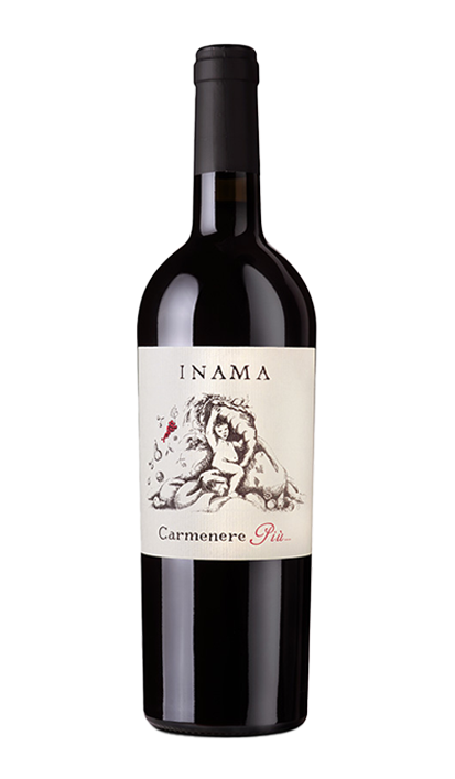 CARMENERE PIU' IGT, 2020